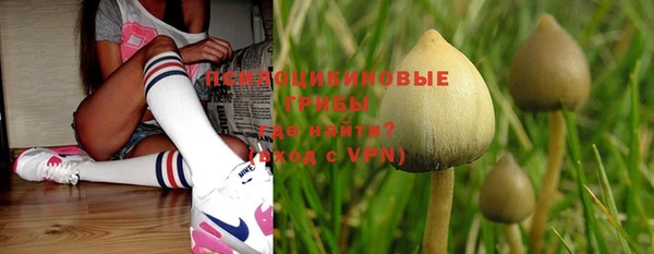 PSILOCYBIN Володарск