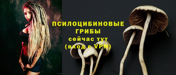 ешки Волосово