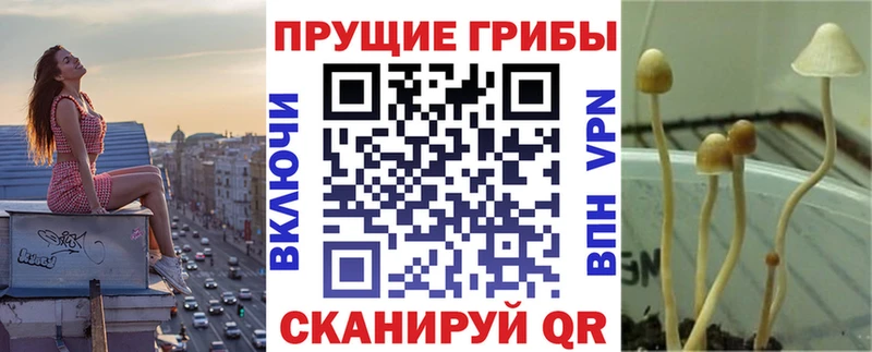 Галлюциногенные грибы Magic Shrooms Вилюйск